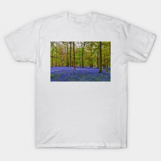 Bluebells Bluebell Woods Greys Court Oxfordshire UK T-Shirt